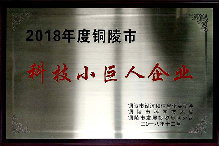 科技小巨人